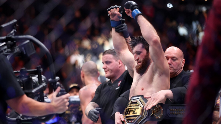 Чемпион полутяжелого веса ufc